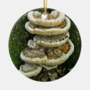 Suche nach regal ornamente Natur