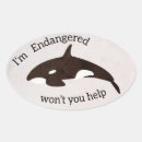 Recherche de sauvez les baleines Orque