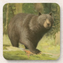 Suche nach braunbären untersetzer Natur