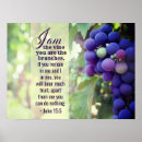 Recherche de fruit de la vigne posters Toute personne