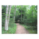 Suche nach waldweg kunst Trail