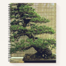 Recherche de graphique de bonsaïs Japonais