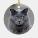 Recherche de chat gris ornements Minou