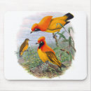 Suche nach schwarze federn mousepads Natur