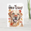 Recherche de laboratoire de thanksgiving Dog