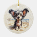 Suche nach chinesische ornamente Welpe