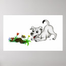 Recherche de jack russel posters Chiot