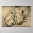 Suche nach sighthound poster Welpe
