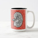 Recherche de kidney tasses Rein