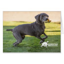 Suche nach tatzen postkarten Blau