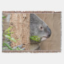 Suche nach koala decken Koalgebär