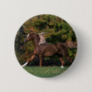 Suche nach arabische pferde buttons Reiter