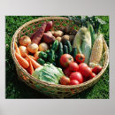 Recherche de food drink posters Fruit