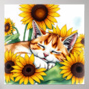 Suche nach schlafender poster Schlafende katze