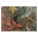 Recherche de étoiles de mer planches à découper Océan