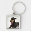 Recherche de pinscher dobermann porteclés Animal