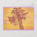 Suche nach nadelbaum postkarten Nadelbäume