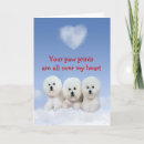 Recherche de bichons vœux cartes Animaux domestiques