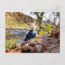 Suche nach teddybear postkarten Weihnachten