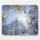 Suche nach kalifornien mousepads Pflanze