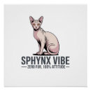 Recherche de sphynx art Du chat sphynx