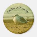Recherche de mouette magnets Plages
