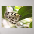 Recherche de papillon noir et blanc posters Bogue