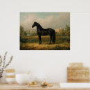 Suche nach reiten poster Pferdeposter
