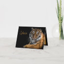 Suche nach tiger kleine grußkarten Große katzen