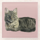 Suche nach flaumig untersetzer Katze