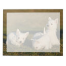 Recherche de westie blocsnotes Animal
