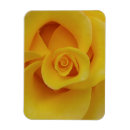 Recherche de romantiques magnets Pour elle