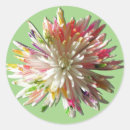 Suche nach chrysanthemen aufkleber Mäuse
