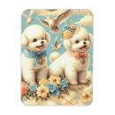 Recherche de frises bichon magnets Dog