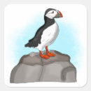 Suche nach puffins aufkleber Vögel