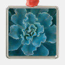 Recherche de conservatoire des fleurs Darrell gulin