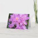 Suche nach rhododendron karten Pflanze