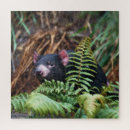Recherche de tasmanie puzzles Nature