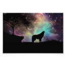 Recherche de photographie de loup posters Nuit