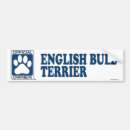 Suche nach bullterrier autoaufkleber Zucht