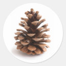 Suche nach fichte aufkleber Weihnachten