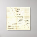 Suche nach san diego map poster Nautical