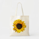Recherche de fleur photographie Tournesol