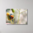 Recherche de croissance impressions sur toile Horizontal