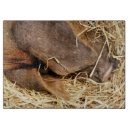 Suche nach schweine schneidebrettchen Tiere