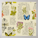 Recherche de lorie posters Pour tous