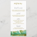 Recherche de bananier cartes postales Vert