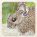 Suche nach niedliche maus untersetzer Nagetier