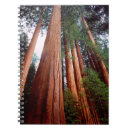 Suche nach california kleine notizbücher Danita separont