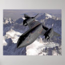 Suche nach amsel poster Sr 71